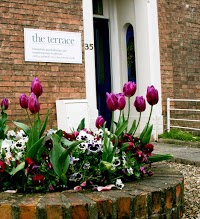 The Terrace Psychotherapy, Counselling and Complementary Health Centre 724930 Image 0